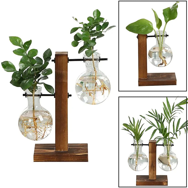 Plant Cutting Vases