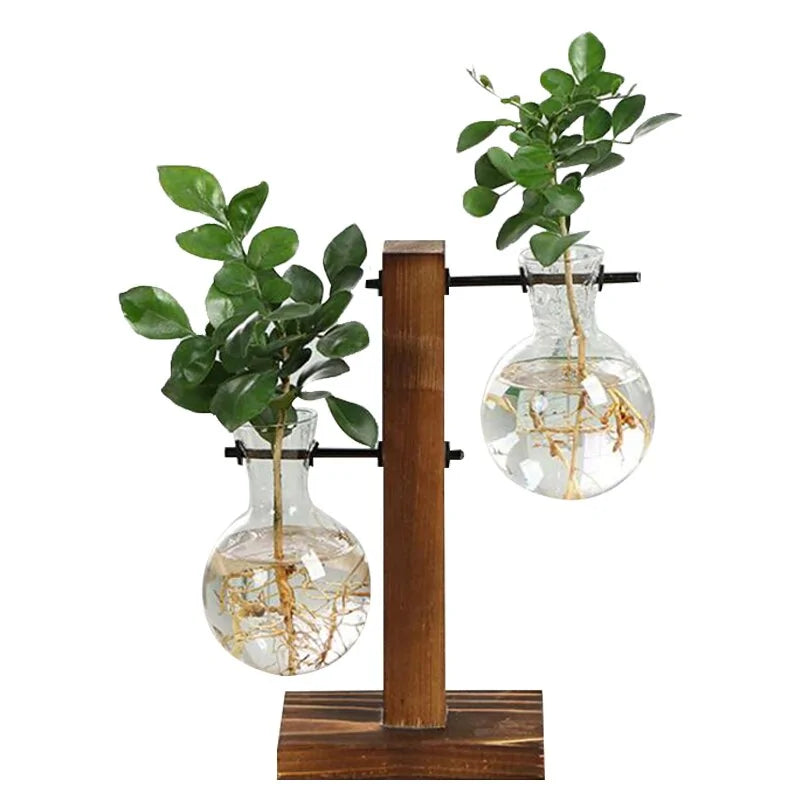 Plant Cutting Vases