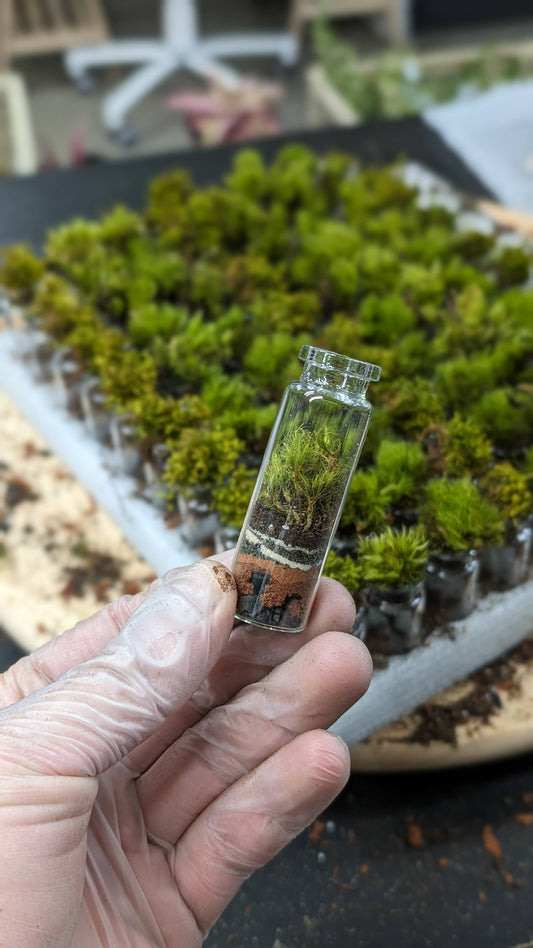 Self-Sustaining Terrarium Monsters