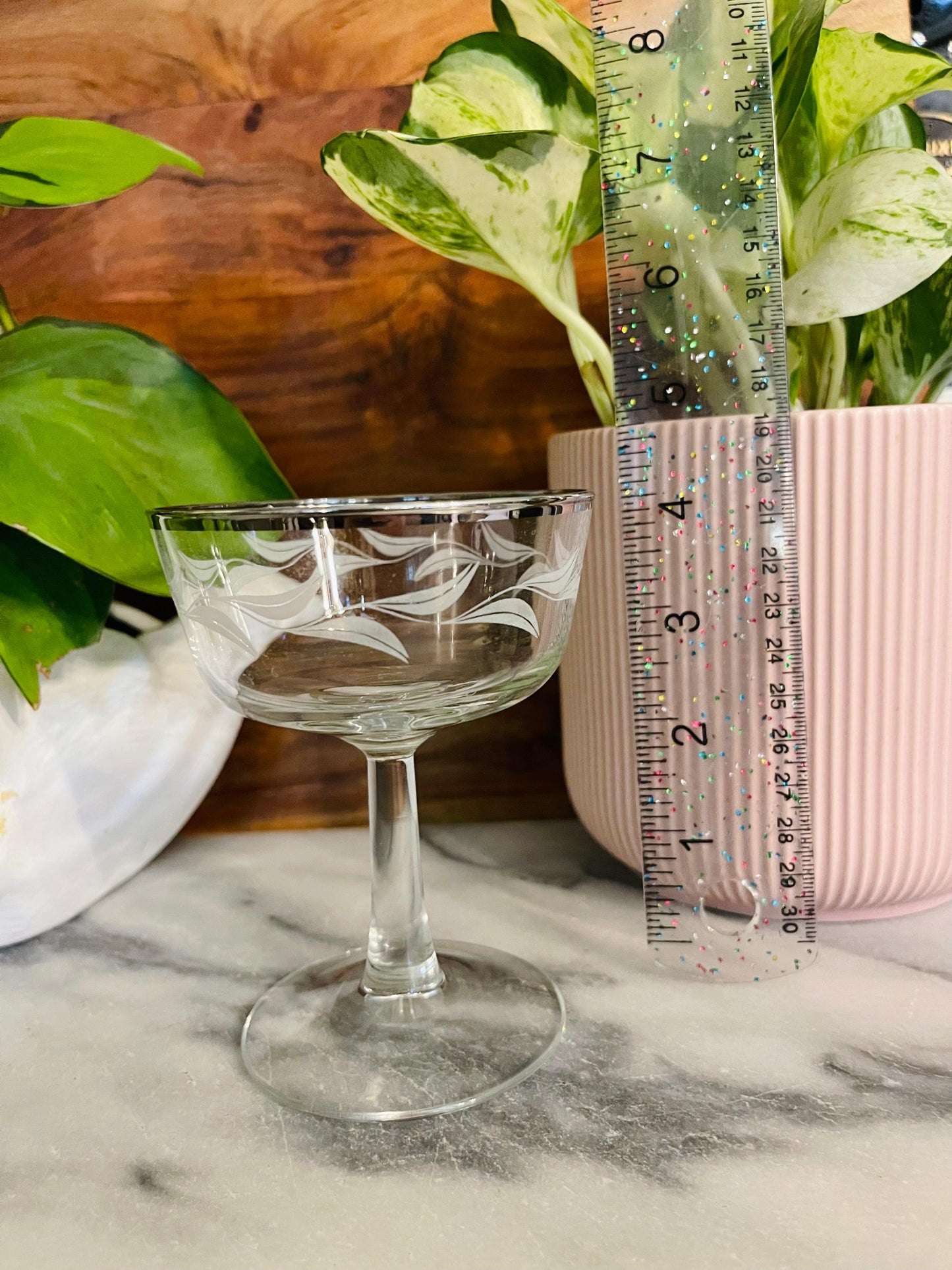 Vintage silver rim, laurel elite etched stemware by France ( single glass ) - Vintage Treasures1955