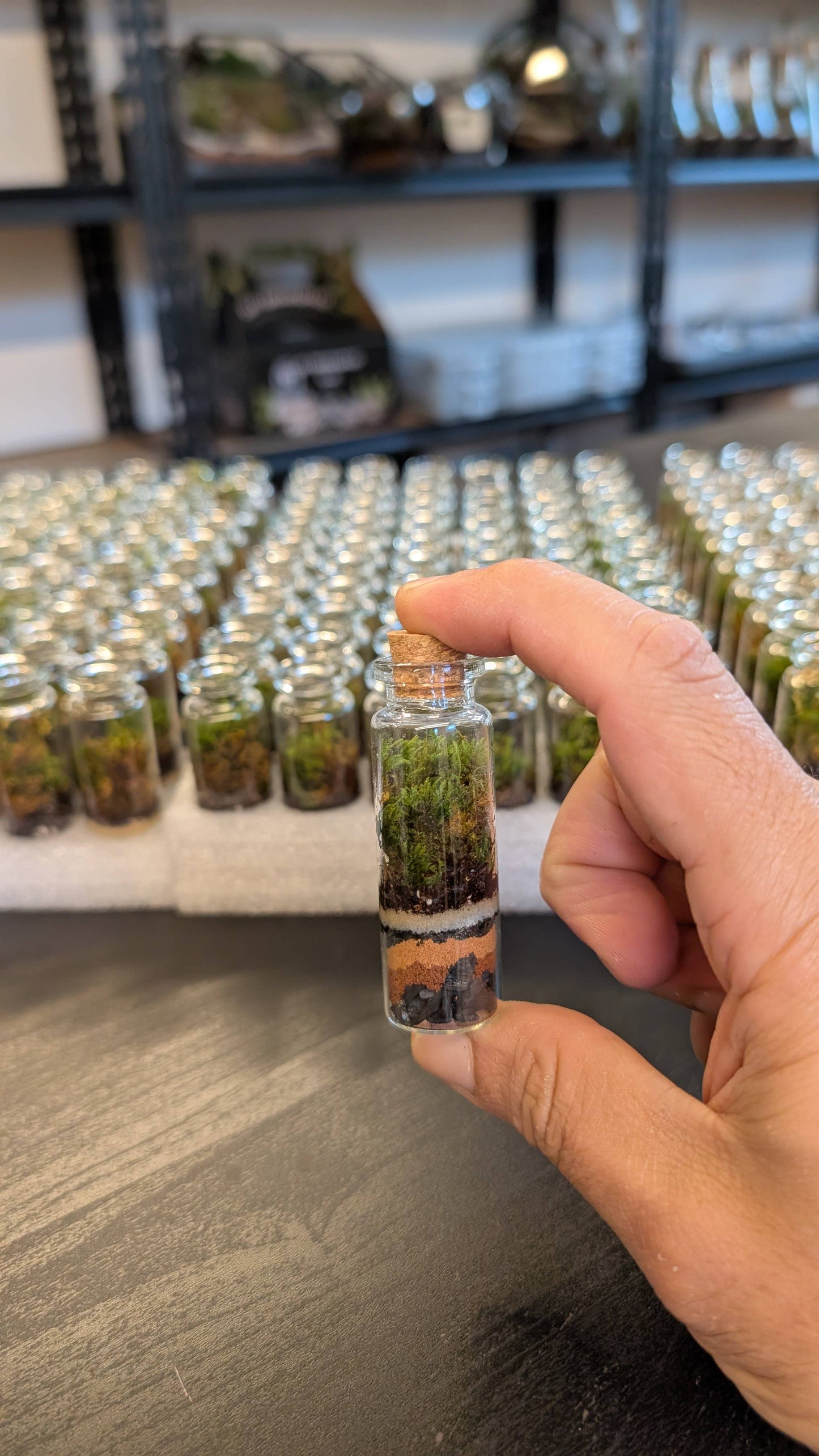 Self-Sustaining Terrarium Monsters