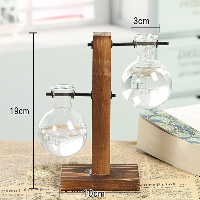 Plant Cutting Vases