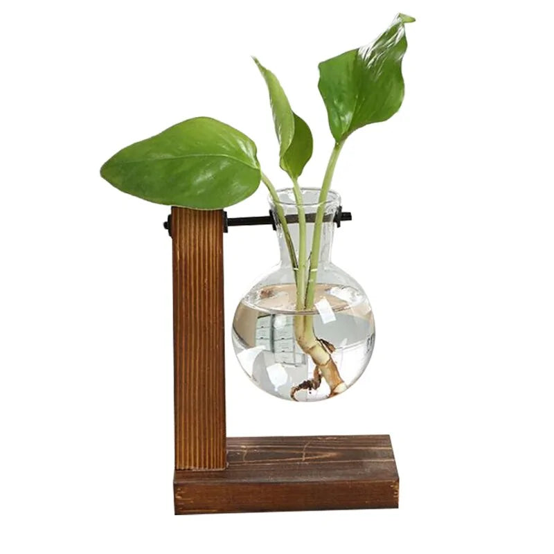 Plant Cutting Vases
