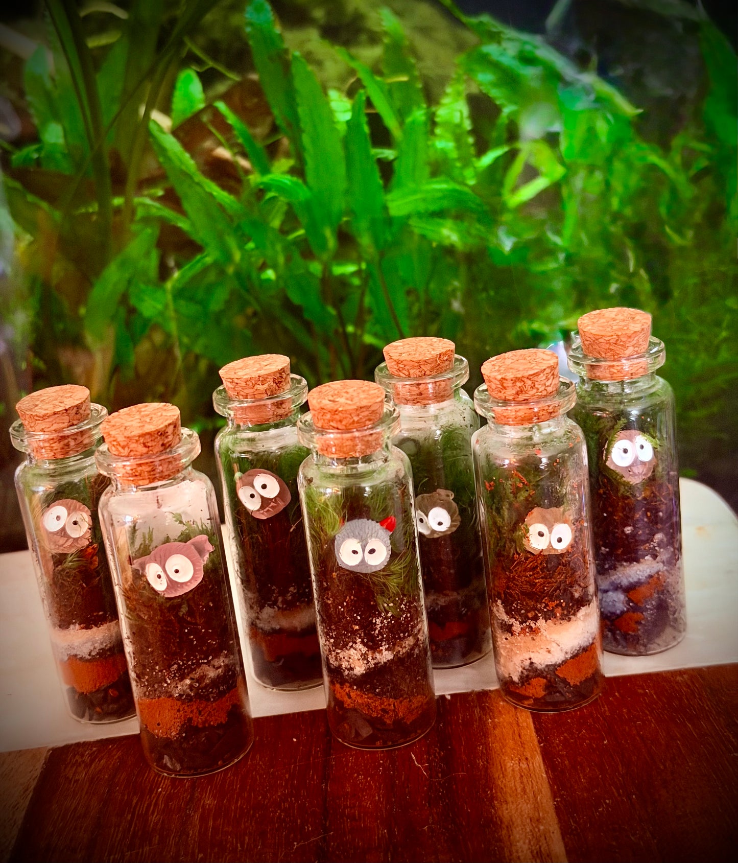Self-Sustaining Terrarium Monsters