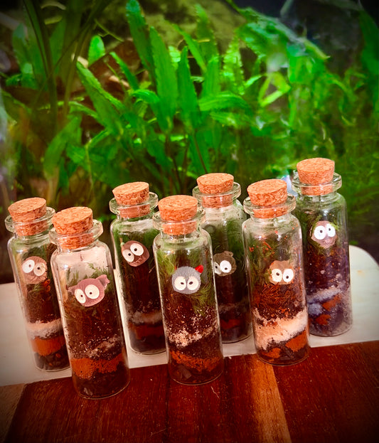 Self-Sustaining Terrarium Monsters