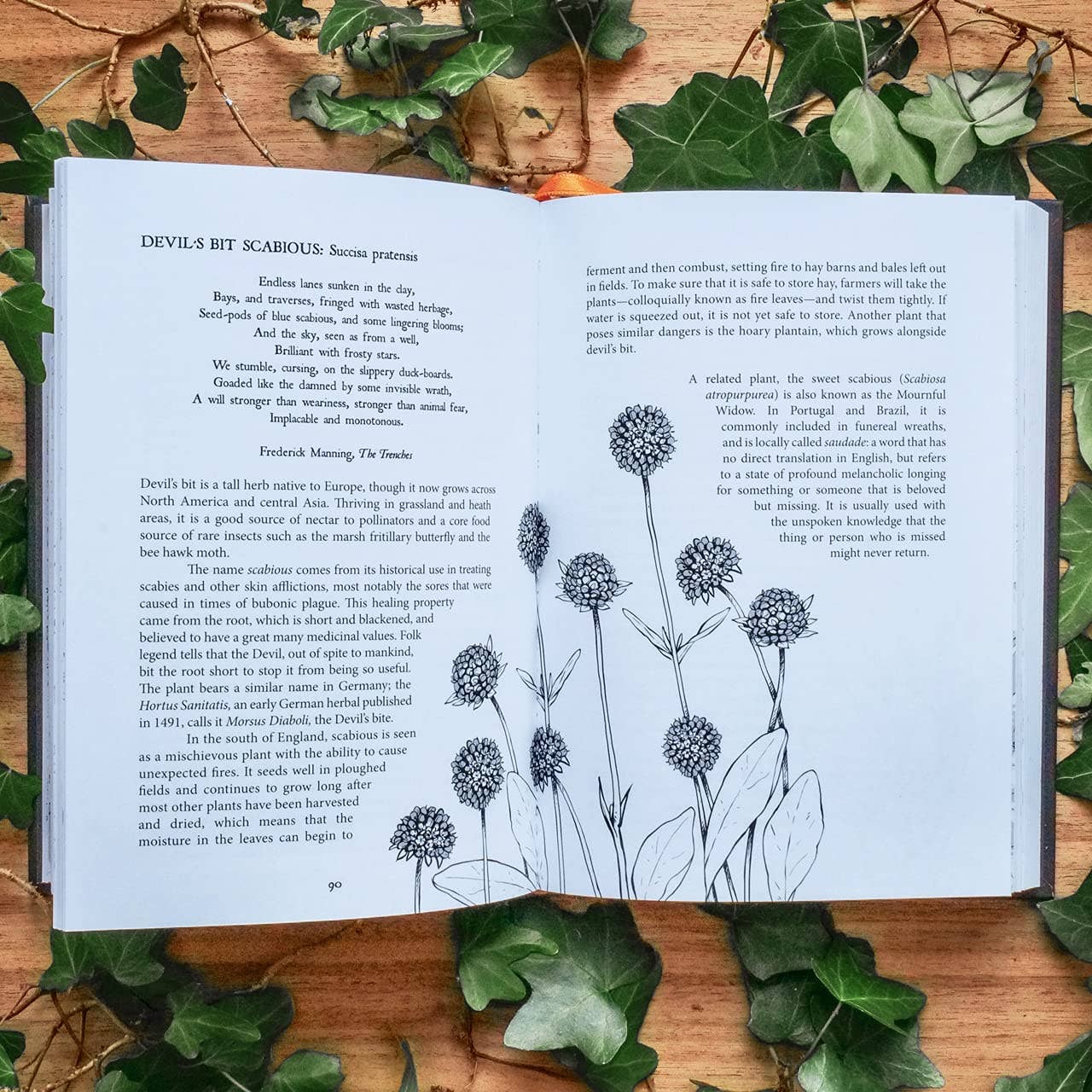Botanical Curses and Poisons: The Shadow-Lives of Plants: Hardcover