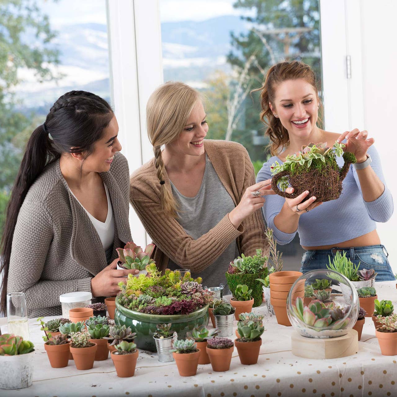 Ultimate Variety Succulents 100-Pack (50 Varieties, 2" Pots)