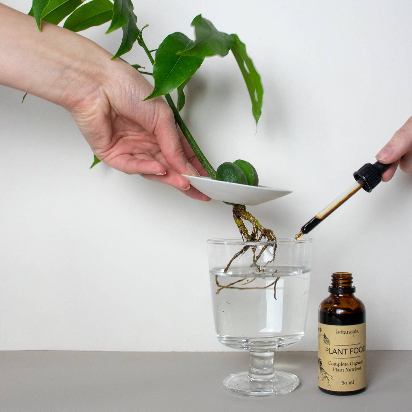 Complete Organic Plant Food -1.7 fl oz (50ml)