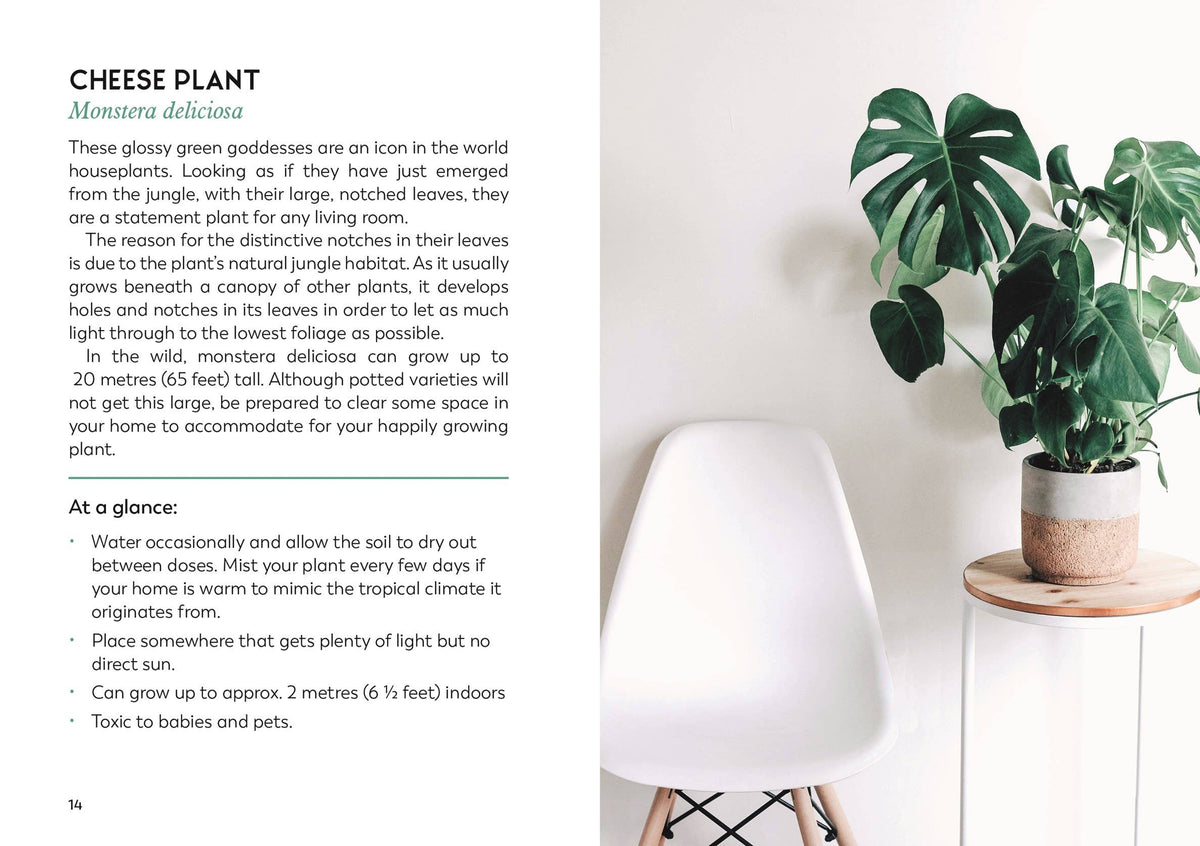 The Little Book for Plant Parents: Hardcover