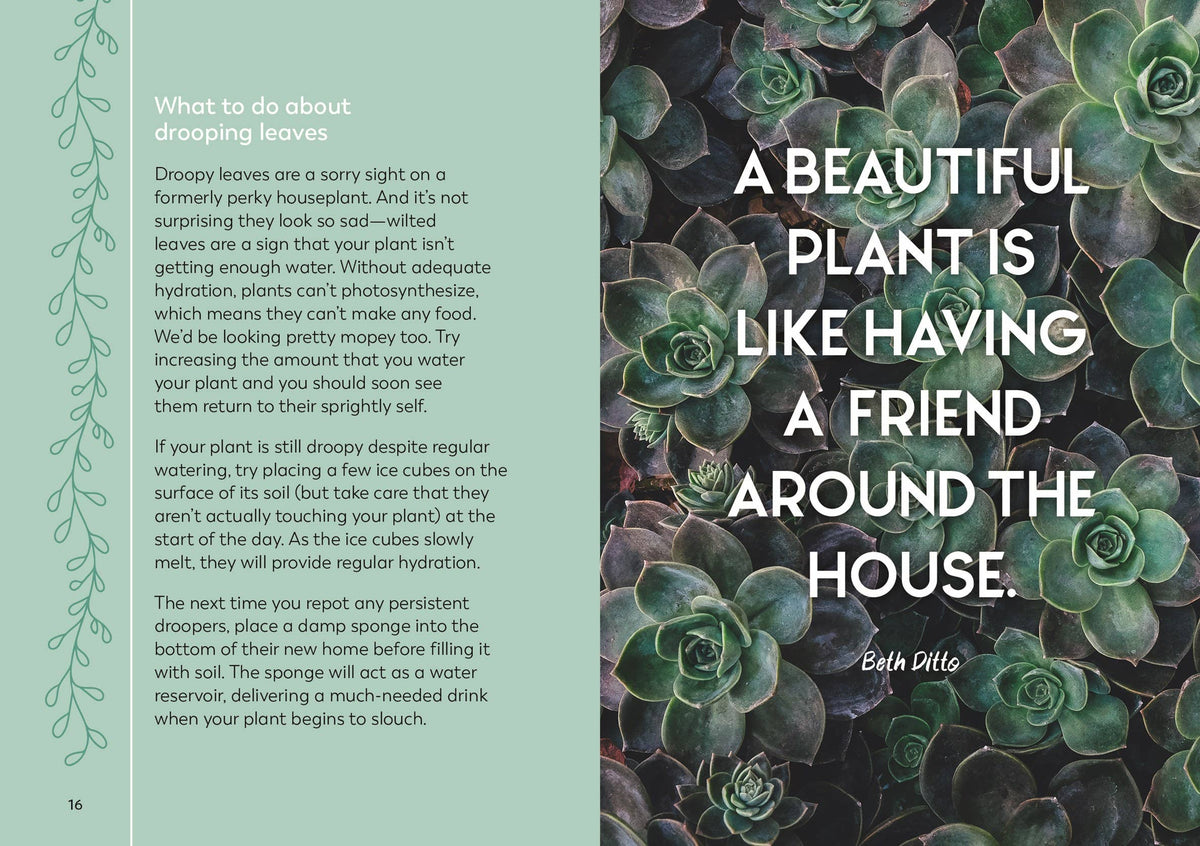 The Little Book for Plant Parents: Hardcover