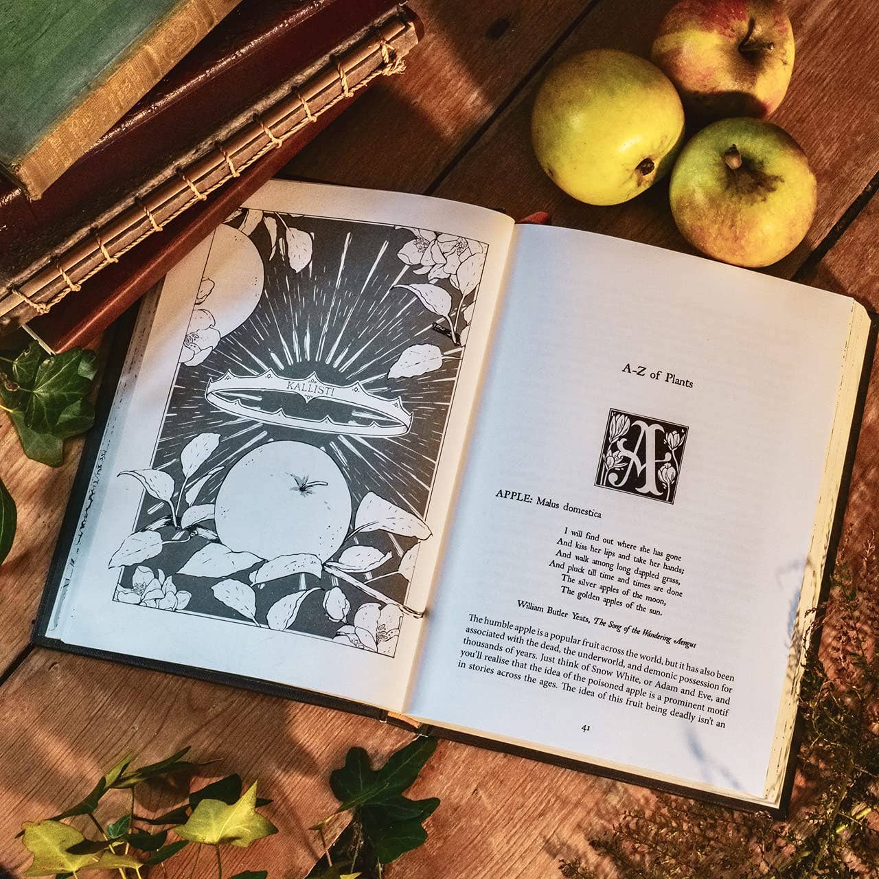 Botanical Curses and Poisons: The Shadow-Lives of Plants: Hardcover