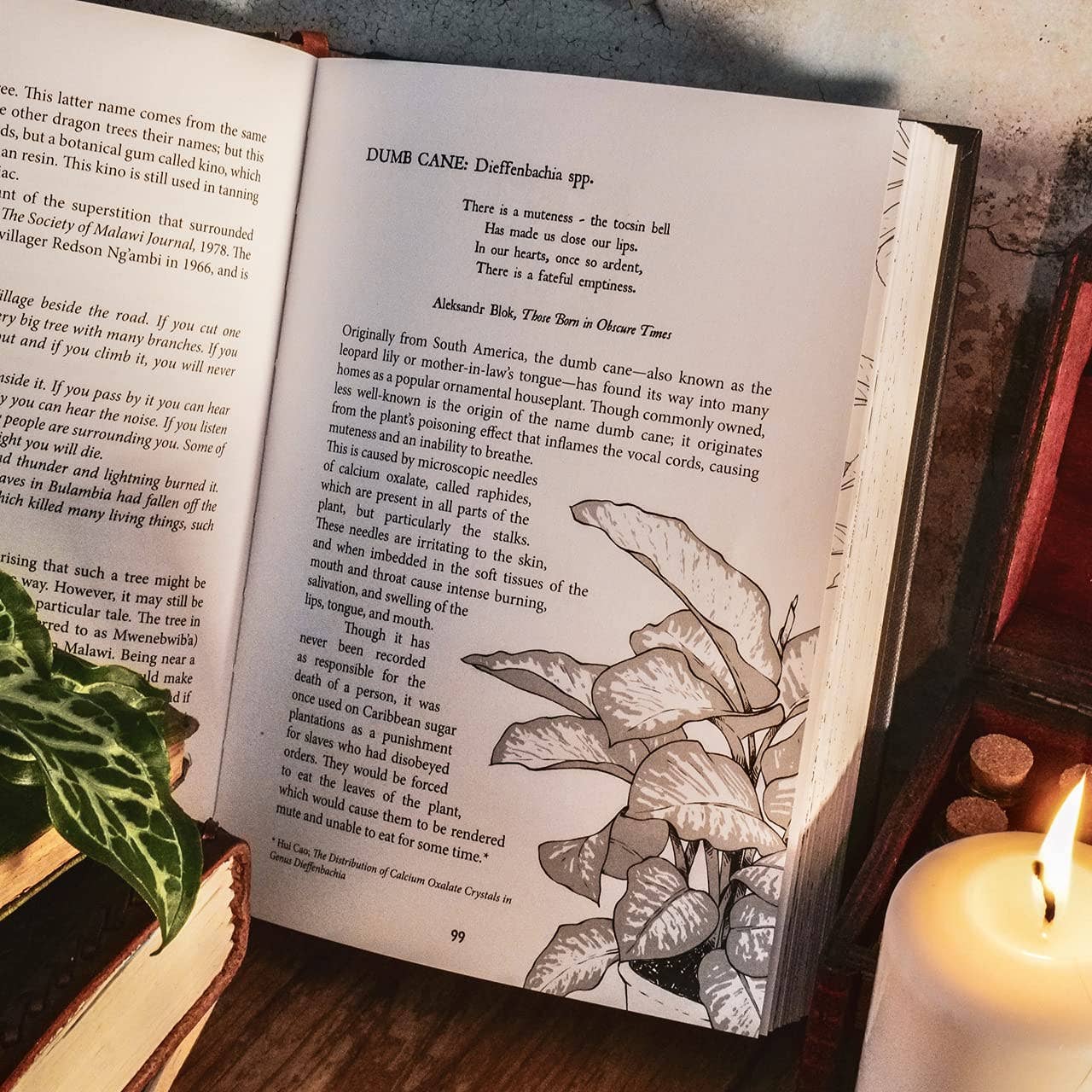 Botanical Curses and Poisons: The Shadow-Lives of Plants: Hardcover