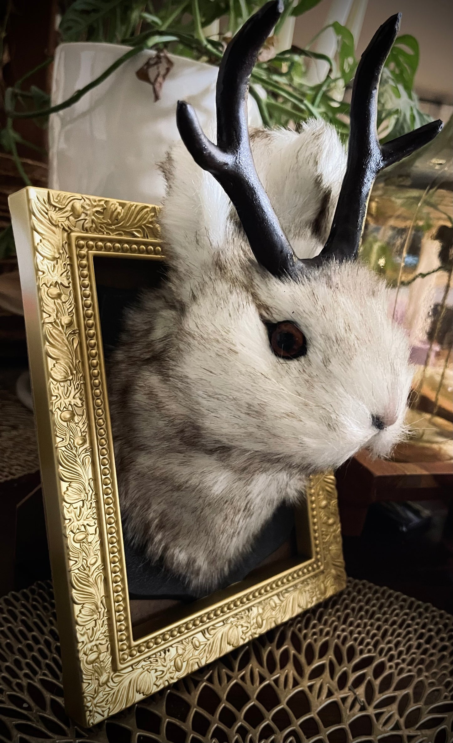 Charming Framed Jackalope Head Art