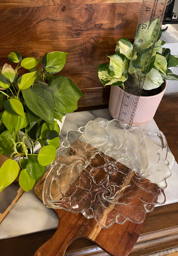 Indiana Glass Clear, Wild Rose Handled Platter ￼ - Vintage Treasures1955