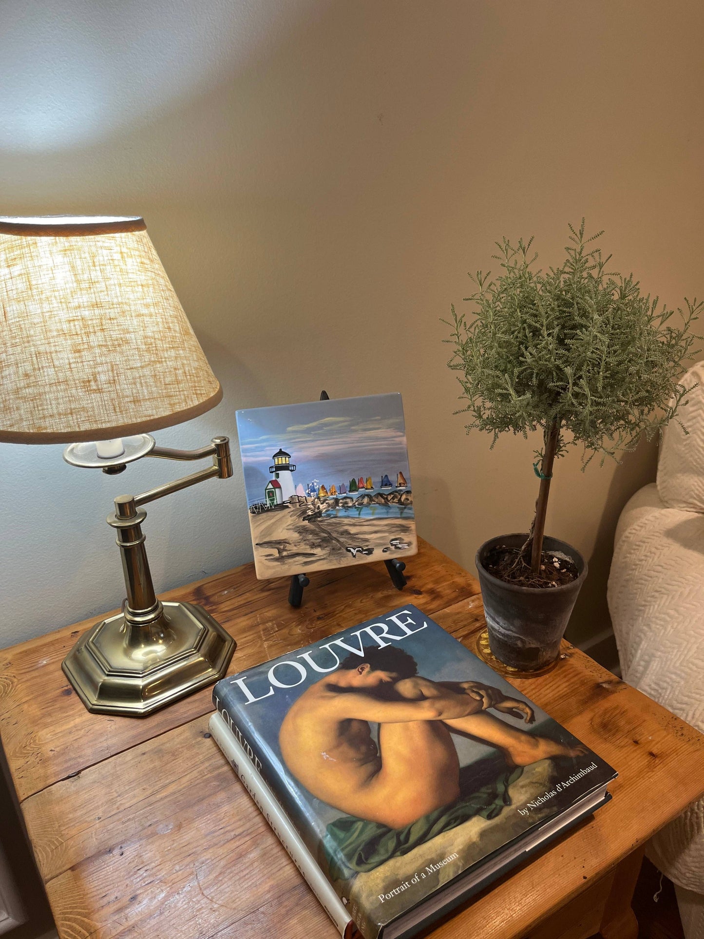 Live Cotton Lavender Topiary in 4 inch pot