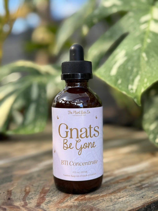Gnats Be Gone - BTI Concentrate 