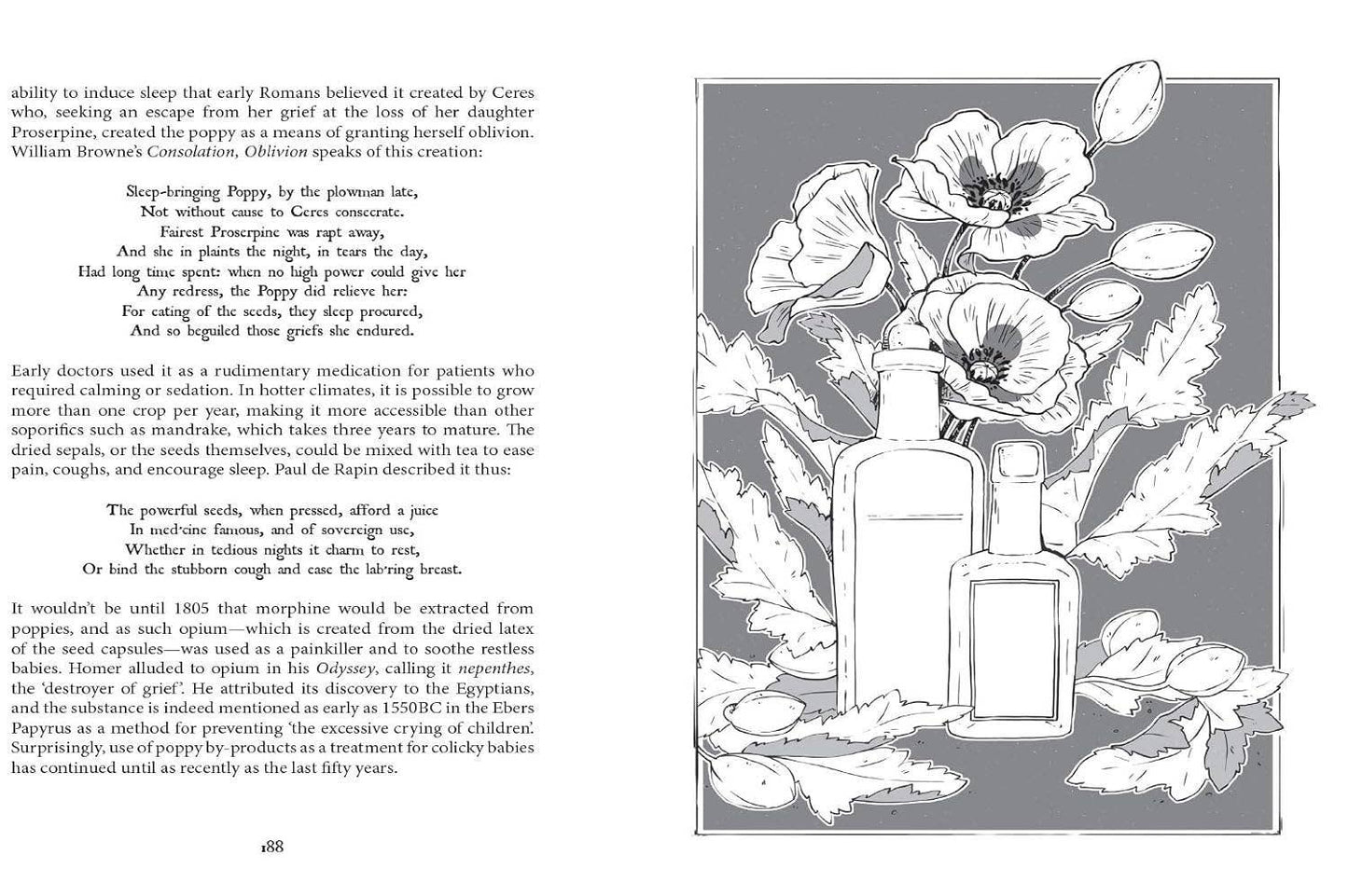 Botanical Curses and Poisons: The Shadow-Lives of Plants: Hardcover