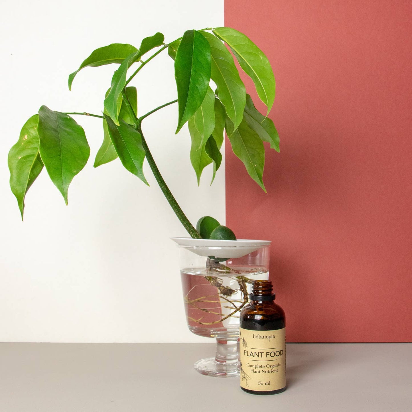 Complete Organic Plant Food -1.7 fl oz (50ml)