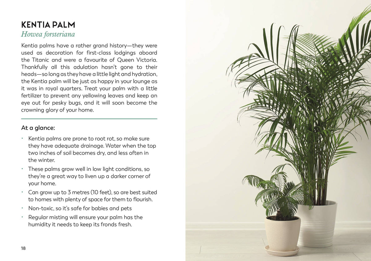 The Little Book for Plant Parents: Hardcover